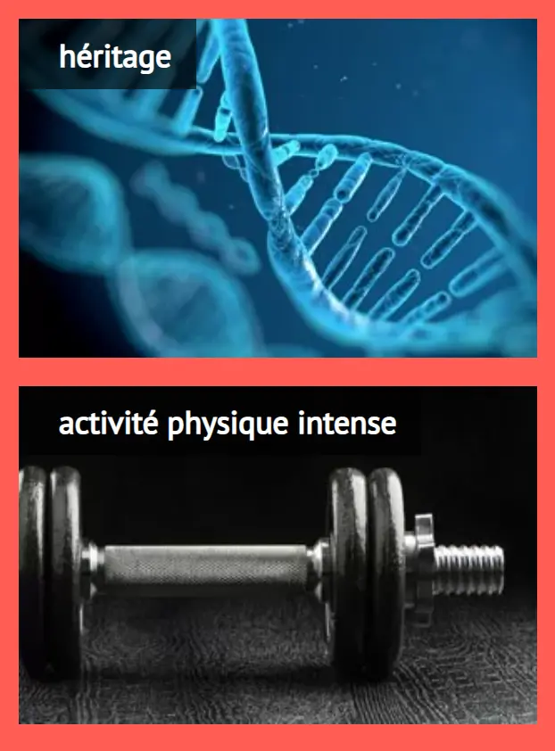 Crème Anti-Varices Venoxil