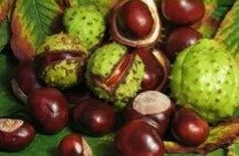 Crème Anti-Varices Venoxil