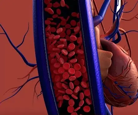 Crème Anti-Varices Venoxil