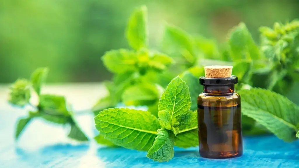 Crème Anti-Varices Venoxil